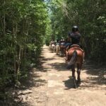 Horseback, ATV´s, Ziplines, Cenote, Hanging bridge Lunch and Round Trip Included - What the Reviews Say