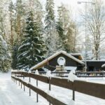 Horseback ride (1 hour) - Authentic Feedback and What It Tells Us