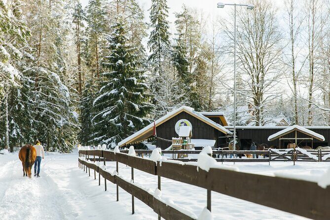 Horseback ride (1 hour) - Authentic Feedback and What It Tells Us