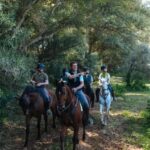 Horseback ride around Doñana National Park - The Practical Side