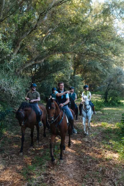 Horseback ride around Doñana National Park - The Practical Side