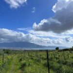 Horseback Ride on Mt. Vesuvius - Why This Tour Stands Out
