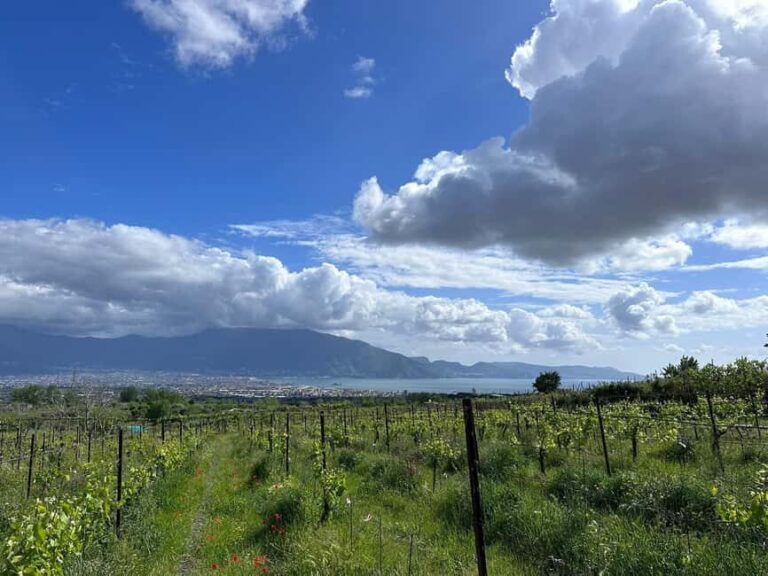 Horseback Ride on Mt. Vesuvius - Why This Tour Stands Out