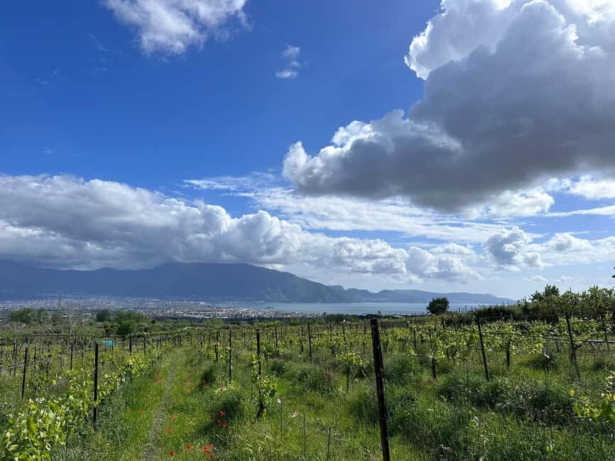 Horseback Ride on Mt. Vesuvius - Why This Tour Stands Out