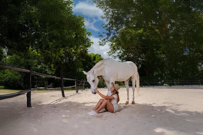 Horseback Riding and Cenote Swim from Cancun or Playa del Carmen - The Scenic Beauty and Educational Touches