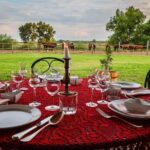 Horseback Riding and yurt stay in the Puszta, 1 hour morning ride - The Yurt Stay and Morning Comforts