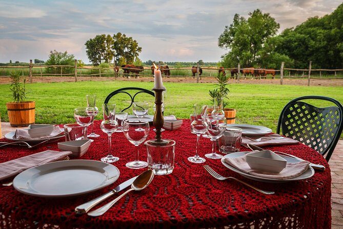 Horseback Riding and yurt stay in the Puszta, 1 hour morning ride - The Yurt Stay and Morning Comforts