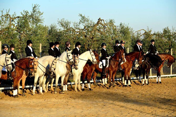 Horseback riding around Doñana - Post-Ride Relaxation and Personal Touches