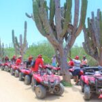 Horseback Riding & ATV Combo! Mountain Trails & Beautiful Beaches of BAJA! - Final Thoughts: Is This Tour for You?