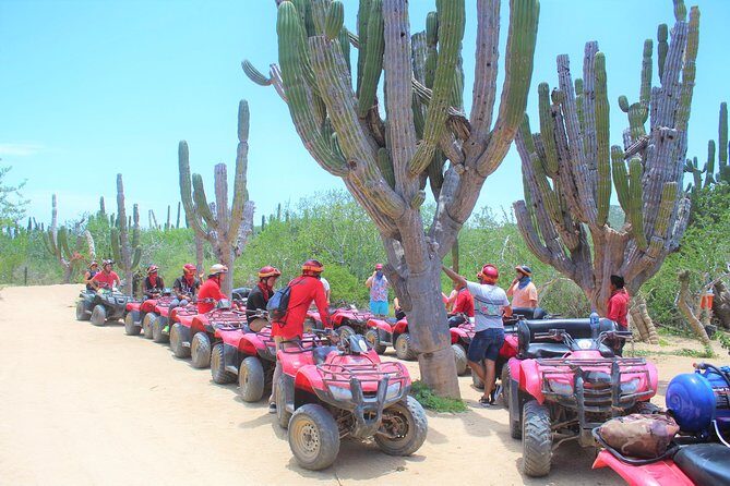 Horseback Riding & ATV Combo! Mountain Trails & Beautiful Beaches of BAJA! - Final Thoughts: Is This Tour for You?