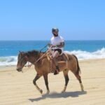 Horseback Riding Beach and Desert Adventure - A Detailed Look at the Horseback Riding Beach and Desert Adventure