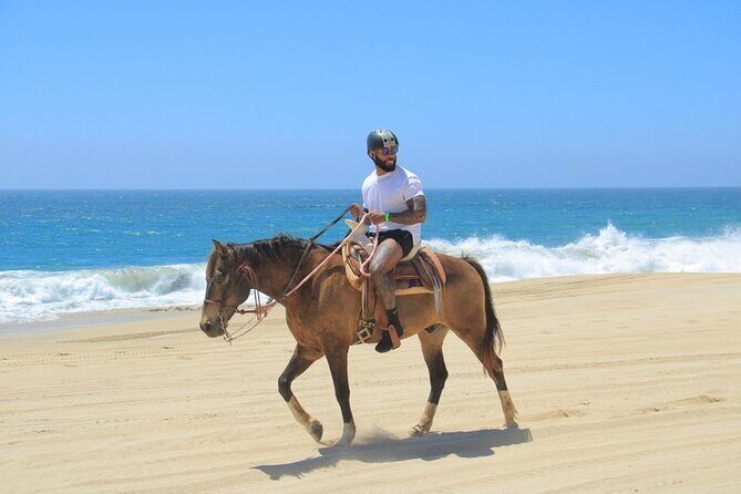 Horseback Riding Beach and Desert Adventure - A Detailed Look at the Horseback Riding Beach and Desert Adventure