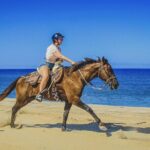 Horseback Riding Beach and Desert in Cabo by Cactus Tours Park - The Cost and Whats Included
