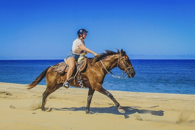 Horseback Riding Beach and Desert in Cabo by Cactus Tours Park - The Cost and Whats Included