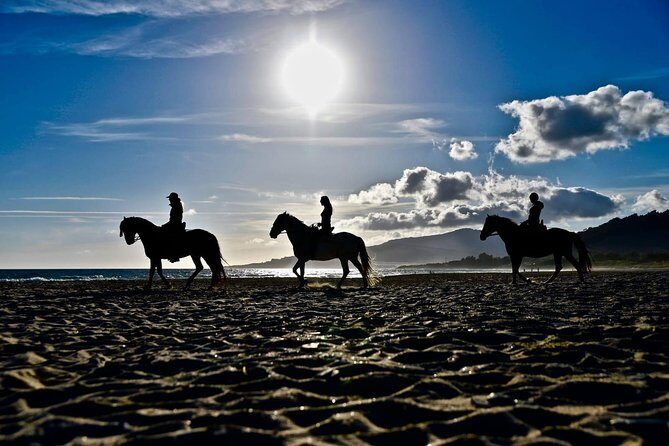 Horseback Riding by the beach or mountain in Tarifa, Spain - 1 to 2 hrs - Final Thoughts