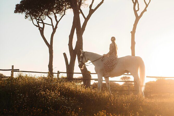 Horseback Riding Experience in Castel Fusano near Rome - Who Should Consider This Tour?