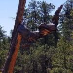 Horseback Riding Experience through Red Canyon with a Guide - Analyzing the Value