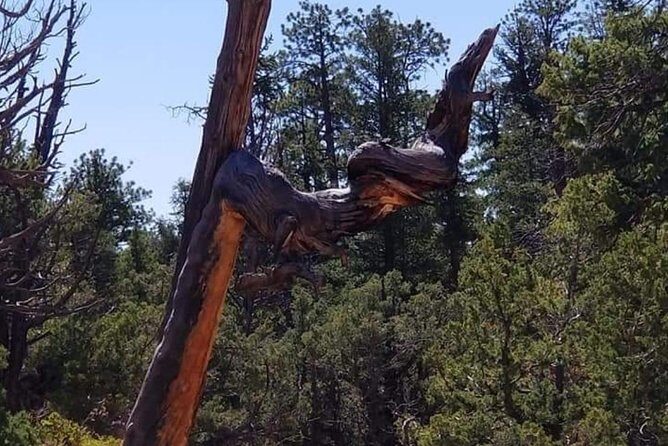 Horseback Riding Experience through Red Canyon with a Guide - Analyzing the Value