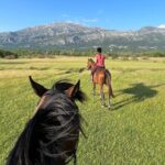 Horseback Riding Experience with transport from Dubrovnik - FAQs