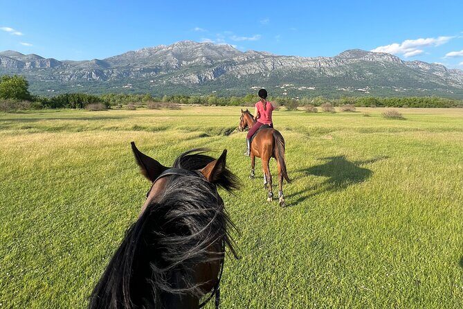 Horseback Riding Experience with transport from Dubrovnik - FAQs