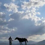 Horseback riding in Dilijan - The Value of This Tour