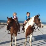 Horseback Riding on the Beaches of Holbox - The Ride Itself: Scenic and Laid-Back