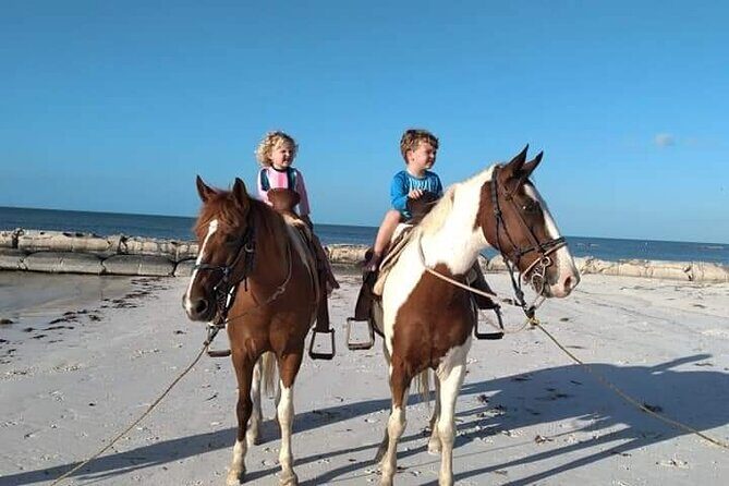 Horseback Riding on the Beaches of Holbox - The Ride Itself: Scenic and Laid-Back