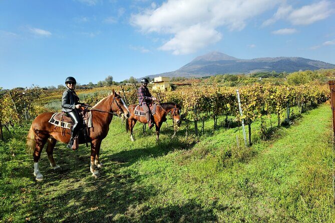 Horseback Riding on Vesuvius - The Price and Value