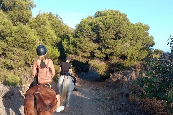 Horseback riding through the Calblanque Natural Park - Who Will Love This Tour?