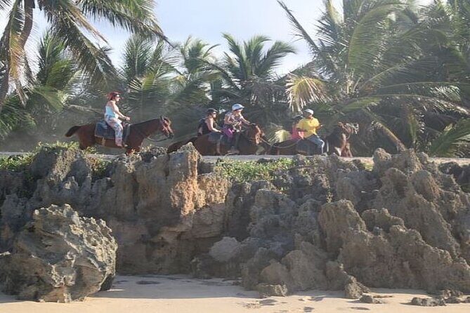 Horseback Riding to Maimon River from Punta Cana - The Ride: What to Expect