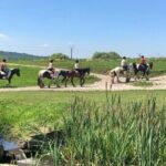 Horseback Riding Tour In Brasov - Ride Through Fields, Forests & Hills - Why This Tour Is a Hit: Authentic, Scenic, and Personal
