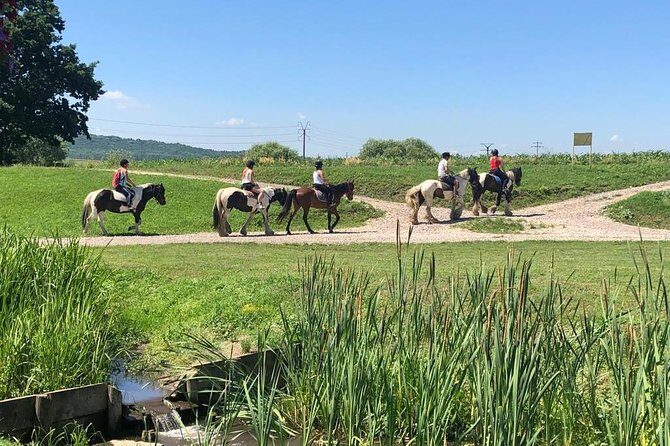 Horseback Riding Tour In Brasov - Ride Through Fields, Forests & Hills - Why This Tour Is a Hit: Authentic, Scenic, and Personal