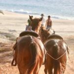 Horseback Riding Tour in Cabo San Lucas - The Value of This Tour