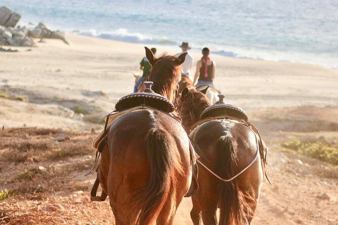 Horseback Riding Tour in Cabo San Lucas - The Value of This Tour