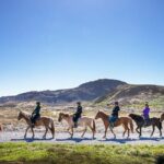 Horseback Riding Tour in Iceland - Is It Worth the Price?