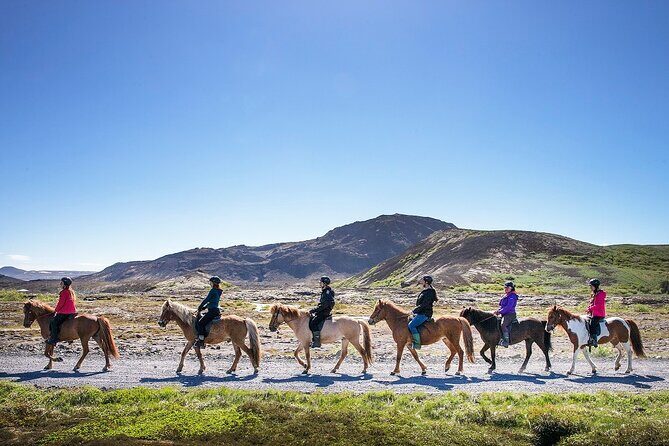 Horseback Riding Tour in Iceland - Is It Worth the Price?