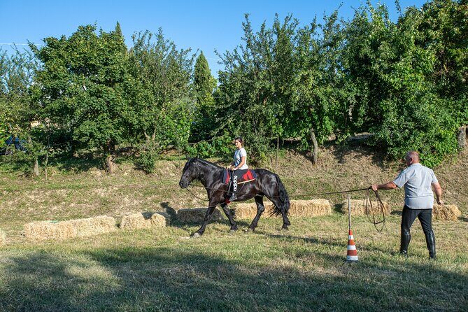 Horseback Riding Tour with Tuscan Picnic in Val d'Orcia and Valdichiana - The Practical Details