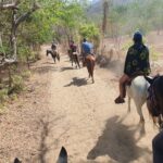 Horses on The Beach or Hot Springs - An In-Depth Look at the Experience