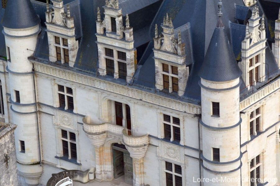Hot Air Balloon Flight above the Castle of Chenonceau - Delving Into the Details
