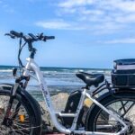 Hourly Electric Bike Rental in Solana Beach - Summing It Up: Who Is This Right For?