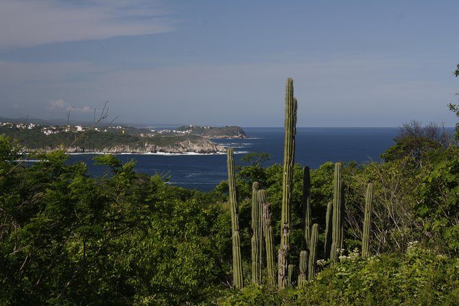 Huatulco City Tour - FAQs