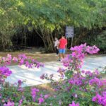 Huatulco hiking, viewpoints and Snorkling - Who Is This Tour Best Suited For?