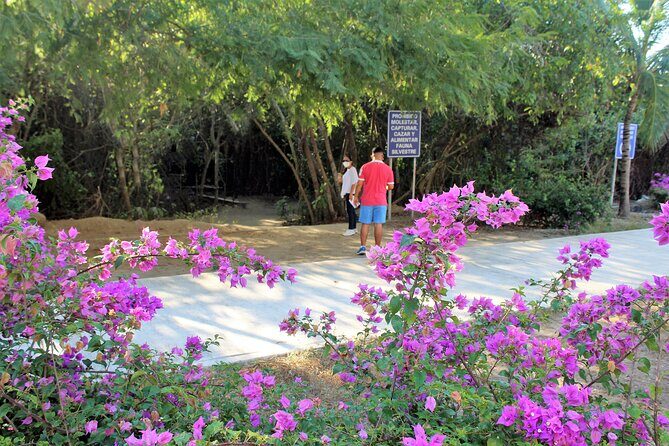 Huatulco hiking, viewpoints and Snorkling - Who Is This Tour Best Suited For?