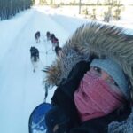 Hudiksvall: Dog Sledding Tour with Bonfire and Refreshment - The Scenery and the Ride