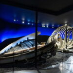 Húsavík: Whale Museum Entry Ticket - The Historical Angle: Whaling in Iceland