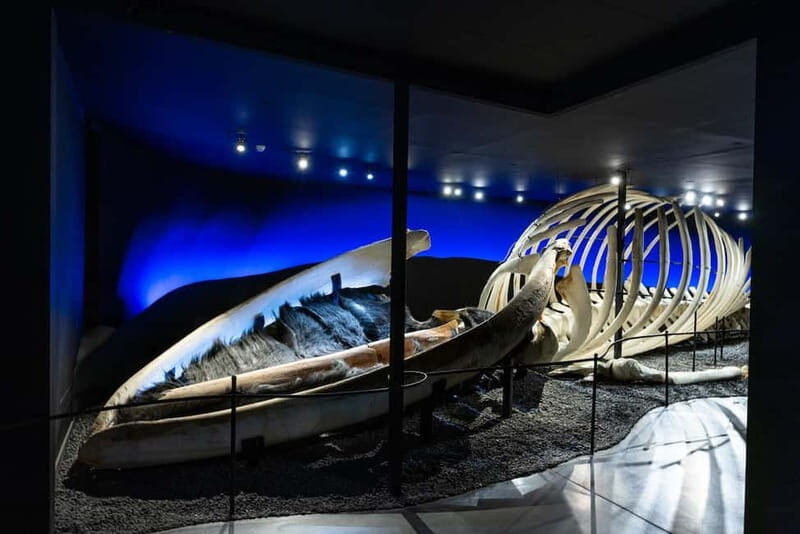 Húsavík: Whale Museum Entry Ticket - The Historical Angle: Whaling in Iceland