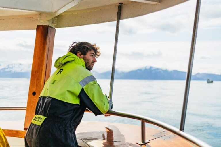 Húsavík: Whale Watching Tour with Guide - The Experience: Wildlife and Scenic Views