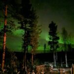 Husky Hike, Snowshoe hike with huskies - Exploring the Experience in Detail