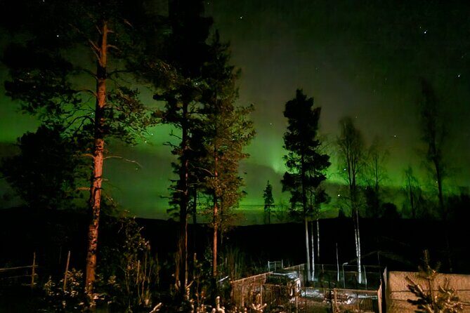 Husky Hike, Snowshoe hike with huskies - Exploring the Experience in Detail