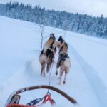 Husky Ride, Snowmobile, Trip to Ranua and Northern Lights - How the Itinerary Fits Together